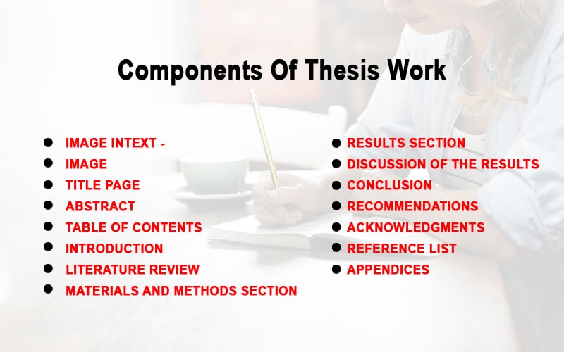 How to write a thesis statement for a research paper?