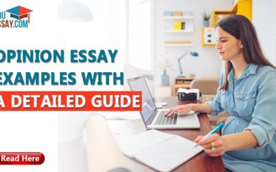 Opinion Essay Examples With A Detailed Guide