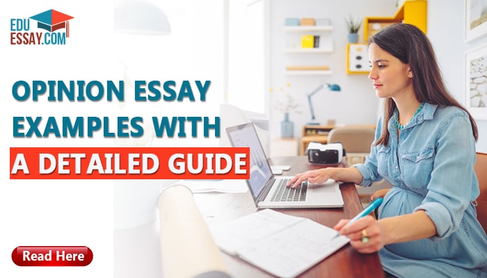 Opinion Essay Examples With A Detailed Guide