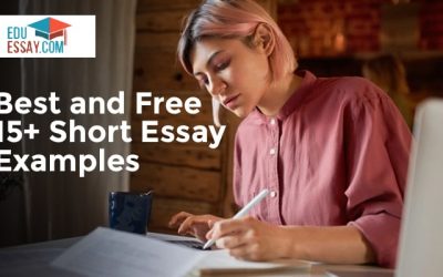 Best and Free 15+ Short Essay Examples