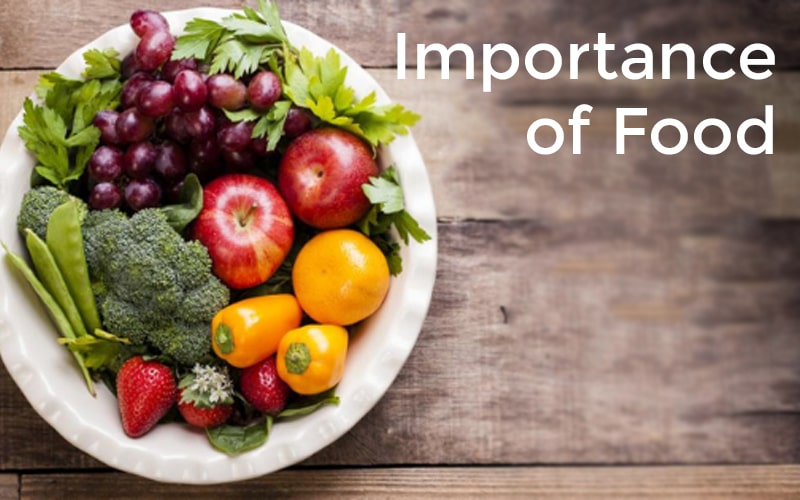 Importance of Food