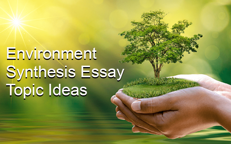 Environment Synthesis Essay Topic Ideas