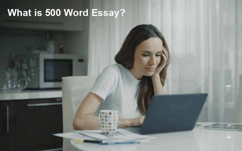 What is 500 Word Essay?