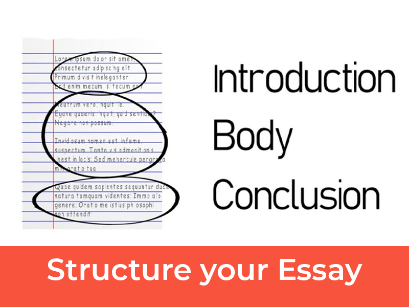 1000 word Essay Structure