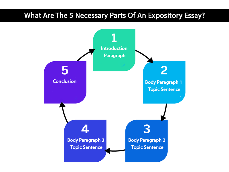 What Are The 5 Necessary Parts Of An Expository Essay?